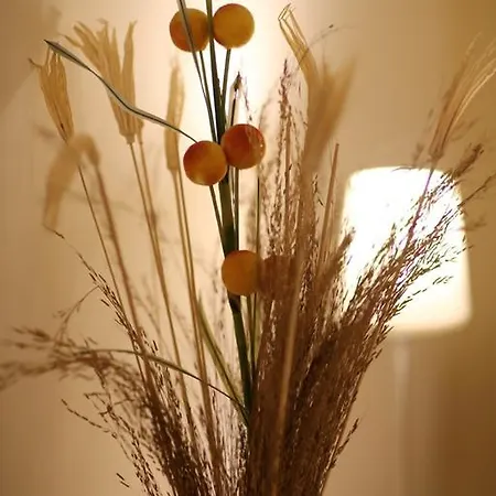 Couette-café Bb Centroest Rome